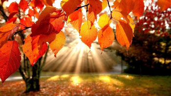 Фотография к новости: Бүгін күн ашық болады