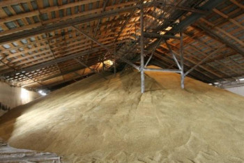 Фотография к новости: Шығыс Қазақстанда екі қоймадан мемлекеттік резервтегі астық жоғалып кетті