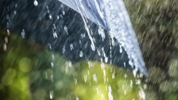 Фотография к новости: Алдағы күндер жауынды болмақ 