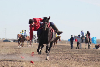 Дарабоз-2019. Теңге ілудің жеңімпаздары анықталды