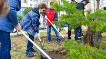 Фотография к новости: Сенаторлар сенбілікке шықты