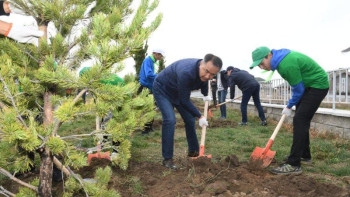 Фотография к новости: Алматының мектептерінде төрт мыңнан астам көшет отырғызылды