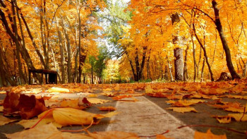 Фотография к новости: Еліміздің басым бөлігінде жауын-шашынсыз болады 