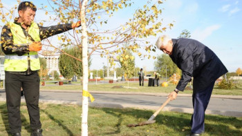 Фотография к новости: Талдықорғанда 5 мың ағаш отырғызылды