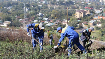 Фотография к новости: Көк Төбеге қызғалдақтар мен алма көшеттері отырғызылды