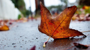 Фотография к новости: Алдағы күндері қар аралас жаңбыр жауып, күн суытады