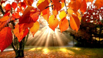 Фотография к новости: 14 қазанға арналған ауа райы болжамы