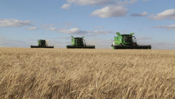 Фотография к новости: Қарағанды облысында егін ору науқаны аяқталды