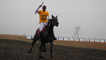 Фотография к новости: Дарабоз – 2019. Сауырынан су төгілмес жорға анықталды