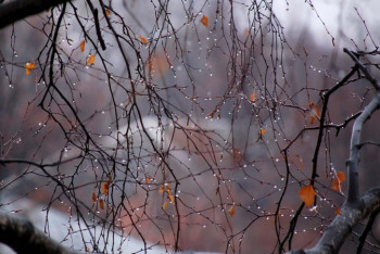 Фотография к новости: Еліміздің басым бөлігінде жаңбыр жауып, дауыл соғады