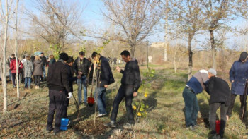 Фотография к новости: Сот қызметкерлері көгалдандыру жұмысына қатысты