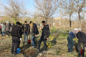 Фотография к новости: Сот қызметкерлері көгалдандыру жұмысына қатысты