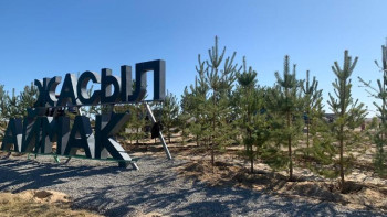 Фотография к новости: Түркістан да жасыл қалаға айналады