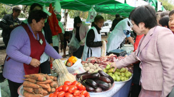 Фотография к новости: Елордада Ақмола және СҚО өңірінің жәрмеңкесі өтіп жатыр
