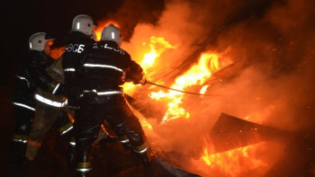 Фотография к новости: Профессионалдар. Тілсіздің де тілін таба білгендер