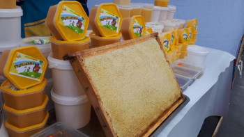 Фотография к новости: Қарағандыда "Ауыл береке" жәрмеңкесі өтті