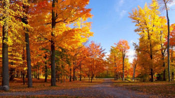 Фотография к новости: 21 қазанға арналған ауа райы болжамы