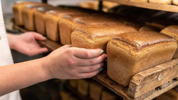 Фотография к новости: Тоқаев нан мен көмір туралы: Бағаны қолдан өсіріп отырған делдалдарға жол берілмеуі тиіс