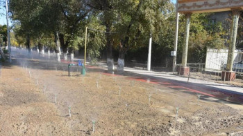 Фотография к новости: Түркістанның маңында "Жасыл белдеу" қалыптасады