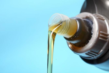 Фотография к новости: "Солярка үшін 500 млн, жылуға қосылуға 1,5 млрд". Депутат мемуниверситеттің мәселесін айтты