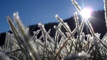 Фотография к новости: Жамбыл облысында 5 градус үсік болады