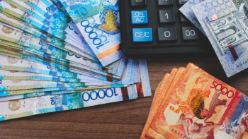 Фотография к новости: Қарағандыда коттеджде тұратын АӘК алушы анықталды