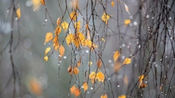 Фотография к новости: 22 қазанға арналған ауа райы болжамы