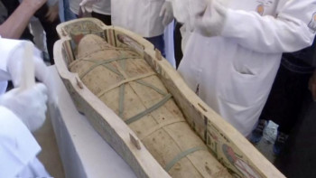 Фотография к новости: Мысырда ағаштан жасалған отызға жуық саркофаг табылды