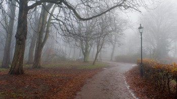 Фотография к новости: Үш күнге арналған ауа райы болжамы 