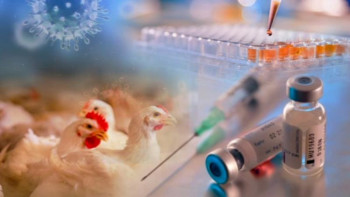 Фотография к новости: Қазақстан құс тұмауынан таза болып шықты