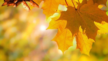 Фотография к новости: Демалыс күндеріне арналған ауа райы болжамы