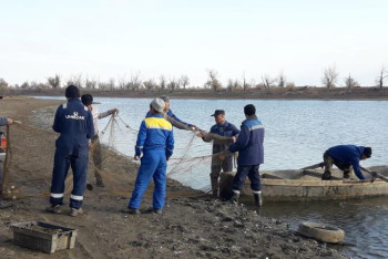 Фотография к новости: БҚО-да жоғалып кеткен балалардың біреуінің денесі табылды