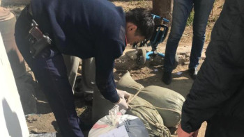 Фотография к новости: Бір айда 50 келіден астам есірткі тәркіленді 