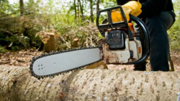 Фотография к новости: Жыл басынан бері 7 мыңнан астам табиғатты қорғау заңнамасын бұзушылық анықталған