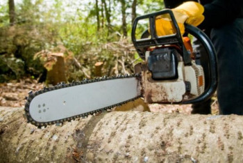 Фотография к новости: Жыл басынан бері 7 мыңнан астам табиғатты қорғау заңнамасын бұзушылық анықталған