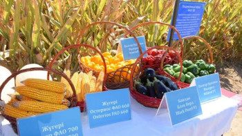 Фотография к новости: Түркістан облысында ауыл шарушылығы өнімінің жалпы көлемі 450 млрд теңгені құрады 