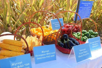 Фотография к новости: Түркістан облысында ауыл шарушылығы өнімінің жалпы көлемі 450 млрд теңгені құрады 