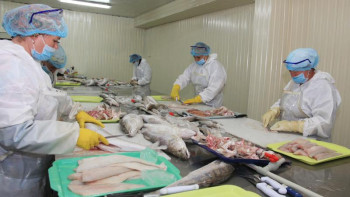 Фотография к новости: "Бизнестің жол картасы - 2020": Жамбыл облысында биыл 344 жоба жүзеге асуда