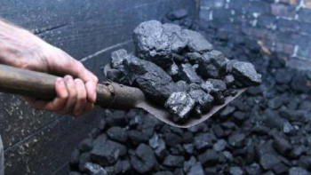 Фотография к новости: Көмірдің қымбаттауына жол бойындағы алыпсатарлар әсер етеді