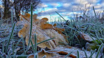 Фотография к новости: Алдағы күндері -5°С-қа дейін күн суытады 