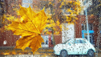 Фотография к новости: 4 қарашаға арналған ауа райы болжамы