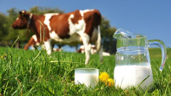 Фотография к новости: Ақтөбе облысының әкімі жастарды мал шаруашылығын дамытуға шақырды