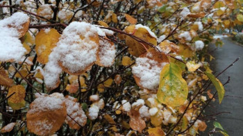 Фотография к новости: 6 қарашаға арналған ауа райы болжамы