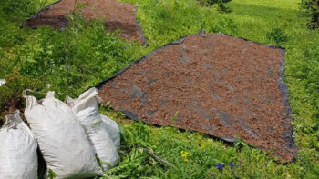 Фотография к новости: Шекарашылар кезекті браконьерлерді қолға түсірді 