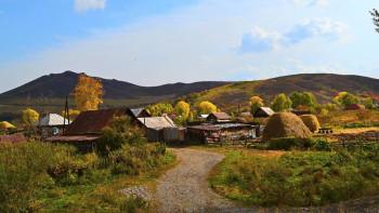 Фотография к новости: Ауылда кәсіптің көзін тапқан әйелдер көп