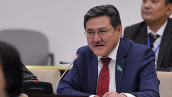 Фотография к новости: Сенат депутаты "плагиат жұмысы" үшін вице-министрді жазалауды сұрады ﻿