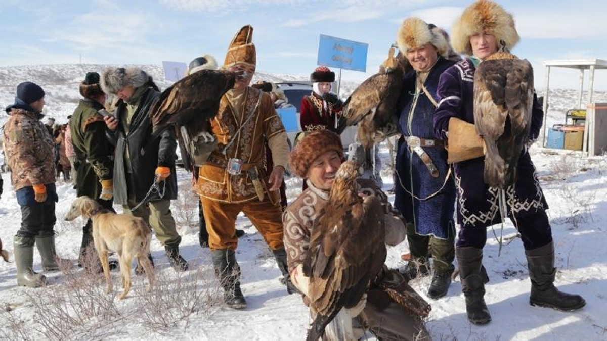 Қарағанды облысында аушы құстармен аң аулау бойынша турнир өтіп жатыр