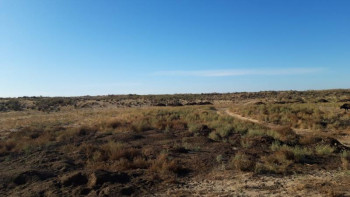 Фотография к новости: Екі қылмыс оқиғасы бір істе ашылды