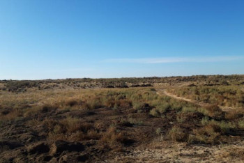 Фотография к новости: Екі қылмыс оқиғасы бір істе ашылды