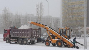 Фотография к новости: Полиция жүргізушілерге көліктерін жол бойында қалдырмауды ескертті